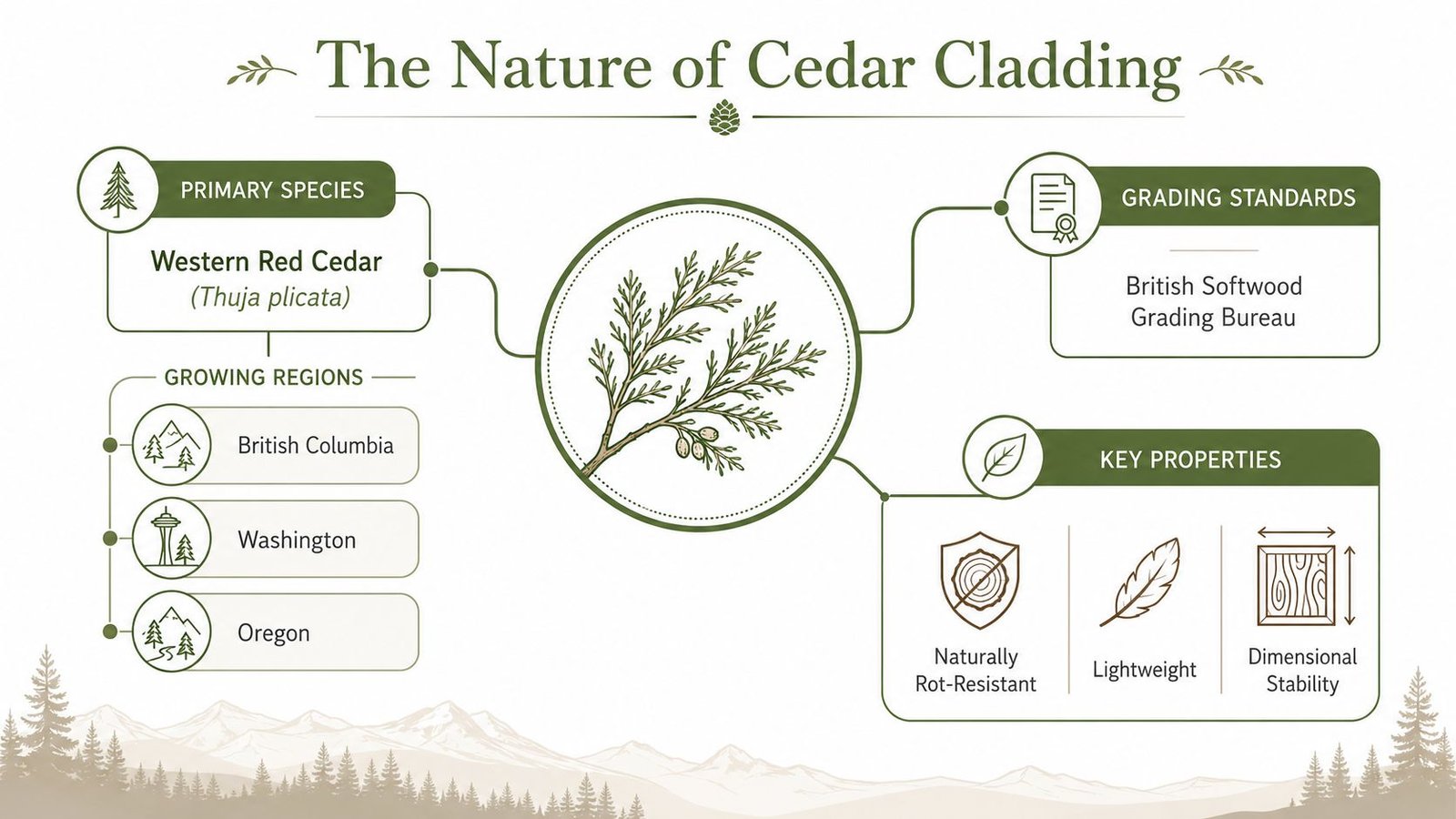 An infographic detailing the nature of Western Red Cedar cladding, including its origin, properties, and standards.